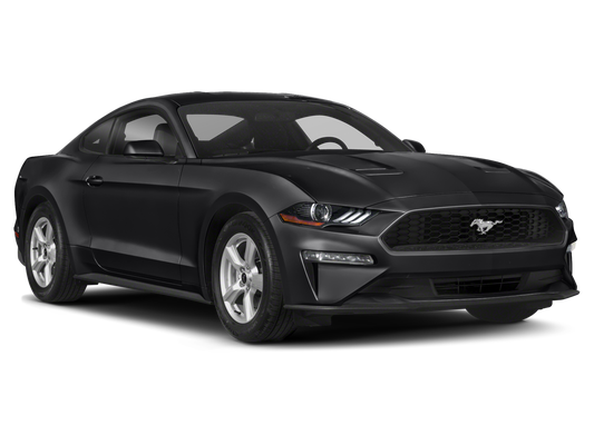 2019 Ford Mustang PREMIUM ECO in Greensburg, IN - Acra Automotive Group