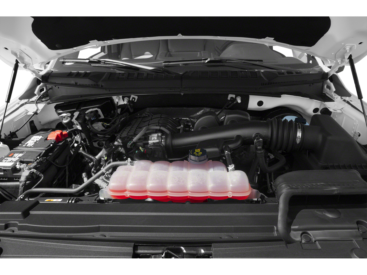 2019 Ford F-150 XL REG CAB